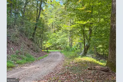 100 +/- Acres On Rambling Road, Fairmount, GA 30139 - Photo 37