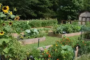 8515 Lake Dr, Snellville, GA 30039 - Photo 53