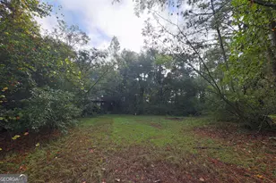 23481 N US Hwy 19, Ochlocknee, GA 31773 - Photo 23