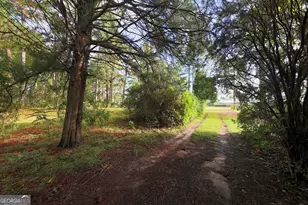 23481 N US Hwy 19, Ochlocknee, GA 31773 - Photo 19