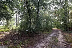 23481 N US Hwy 19, Ochlocknee, GA 31773 - Photo 25