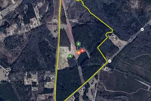 4281 Ga Hwy 46, Soperton, GA 30457 - Photo 115