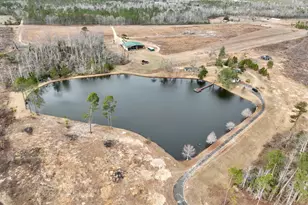 4281 Ga Hwy 46, Soperton, GA 30457 - Photo 59