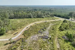 4281 Ga Hwy 46, Soperton, GA 30457 - Photo 17