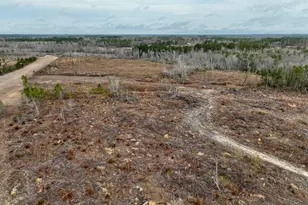 4281 Ga Hwy 46, Soperton, GA 30457 - Photo 63