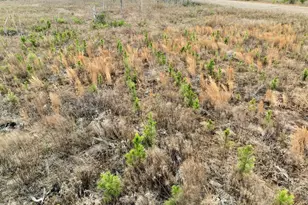 4281 Ga Hwy 46, Soperton, GA 30457 - Photo 69