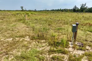 4281 Ga Hwy 46, Soperton, GA 30457 - Photo 77