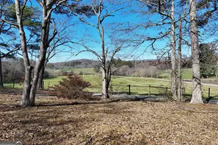 33 Dover Rd, Blairsville, GA 30512 - Photo 5