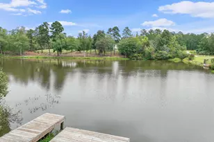 130 Lapis Lake Pt, Fayetteville, GA 30215 - Photo 63