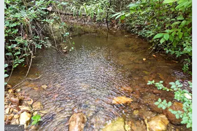 163 Moccasin Lane, Blairsville, GA 30512 - Photo 3