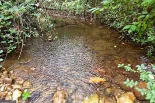 163 Moccasin Ln, Blairsville, GA 30512 - Photo 3