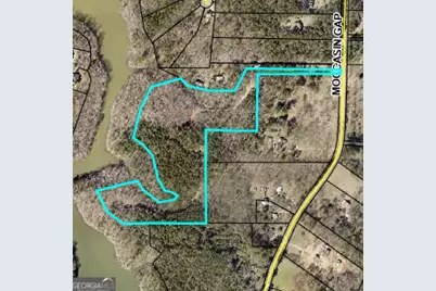 584 Moccasin Gap Road, Jackson, GA 30233 - Photo 3