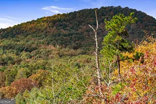 162 Fairy Cross Lane, Mineral Bluff, GA 30559 - Photo 67