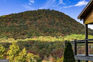 162 Fairy Cross Lane, Mineral Bluff, GA 30559 - Photo 61