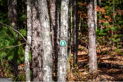 162 Fairy Cross Lane, Mineral Bluff, GA 30559 - Photo 71