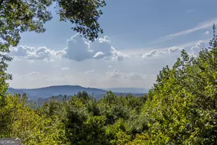 194 Squirrel Chase, Morganton, GA 30560 - Photo 93