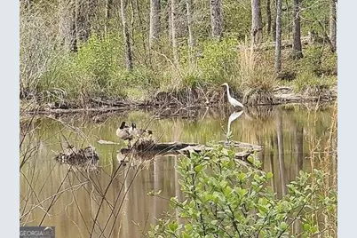 120 Bridgemill Drive, Hampton, GA 30228 - Photo 7