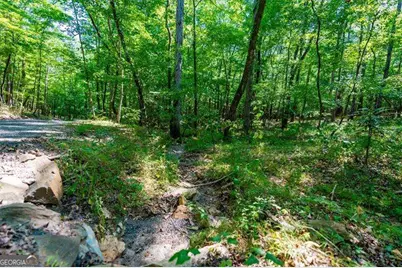 0 Overlook Trail, Acworth, GA 30101 - Photo 3