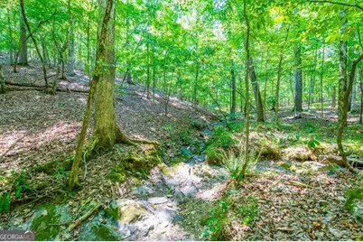0 Overlook Trail, Acworth, GA 30101 - Photo 11