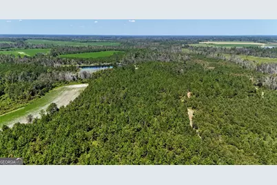 Tract 2 Rhonda Coleman Road, Hazlehurst, GA 31539 - Photo 5