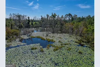 Tract 2 Rhonda Coleman Road, Hazlehurst, GA 31539 - Photo 23