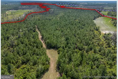 Tract 2 Rhonda Coleman Road, Hazlehurst, GA 31539 - Photo 13