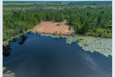 Tract 2 Rhonda Coleman Road, Hazlehurst, GA 31539 - Photo 15