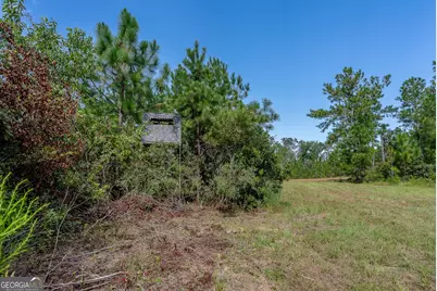 Tract 2 Rhonda Coleman Road, Hazlehurst, GA 31539 - Photo 27