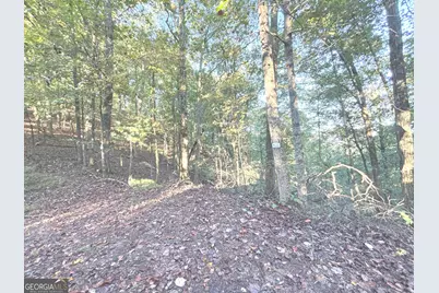 122 Adair Drive, Ranger, GA 30734 - Photo 1