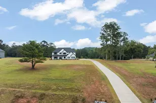 291 Millie Tr, Williamson, GA 30292 - Photo 55