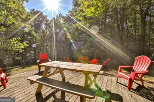 843 Fern Valley Rd, Ellijay, GA 30536 - Photo 59