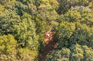 843 Fern Valley Rd, Ellijay, GA 30536 - Photo 63