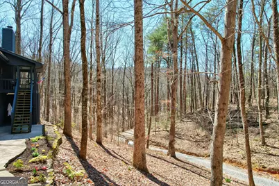 843 Fern Valley Road, Ellijay, GA 30536 - Photo 15