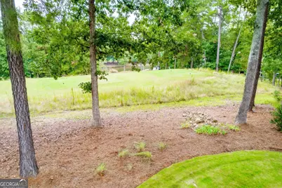 1090 Curtright Place, Greensboro, GA 30642 - Photo 59