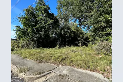 734 Fort Hill Street, Macon, GA 31217 - Photo 1