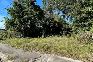 734 Fort Hill St, Macon, GA 31217 - Photo 1