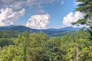 421 Salem Valley Rd, Mineral Bluff, GA 30559 - Photo 9