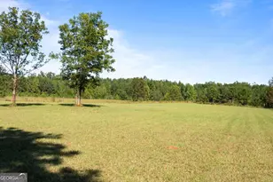 347 Finney Rd, Pine Mountain, GA 31822 - Photo 61