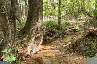 347 Finney Road, Pine Mountain, GA 31822 - Photo 9