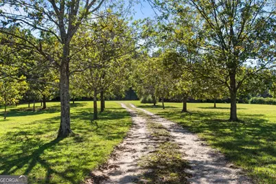 347 Finney Road, Pine Mountain, GA 31822 - Photo 7