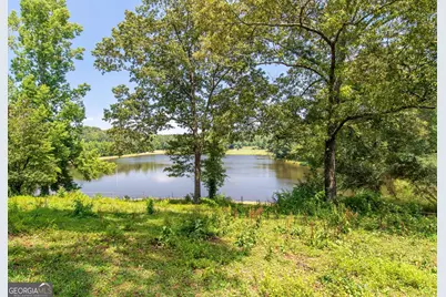 1358 W 5 Highway, Roopville, GA 30170 - Photo 3