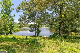 1358 W 5 Hwy, Roopville, GA 30170 - Photo 3