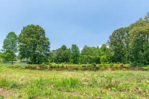 1358 W 5 Hwy, Roopville, GA 30170 - Photo 27