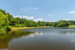 1358 W 5 Hwy, Roopville, GA 30170 - Photo 29