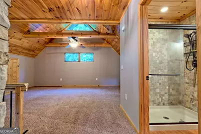 206 Peckerwood Road, Hayesville, NC 28904 - Photo 35