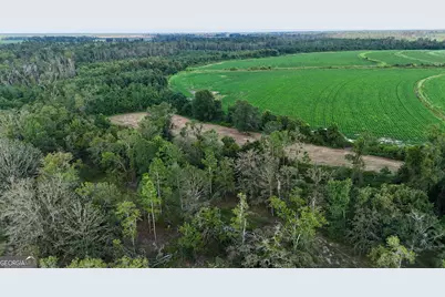Tract 3 Rhonda Coleman Road, Hazlehurst, GA 31539 - Photo 3