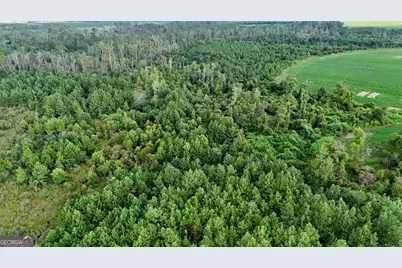 Tract 3 Rhonda Coleman Road, Hazlehurst, GA 31539 - Photo 19