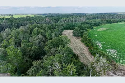 Tract 3 Rhonda Coleman Road, Hazlehurst, GA 31539 - Photo 5