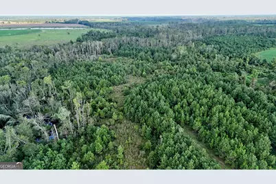 Tract 3 Rhonda Coleman Road, Hazlehurst, GA 31539 - Photo 25