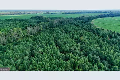 Tract 3 Rhonda Coleman Road, Hazlehurst, GA 31539 - Photo 23